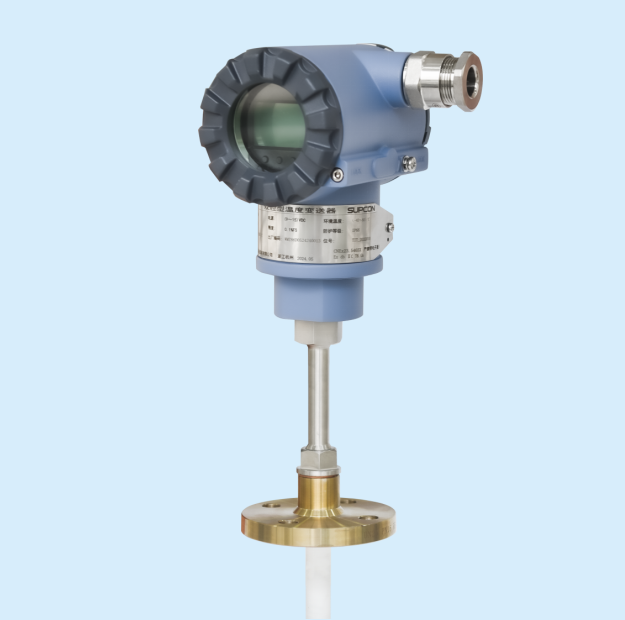 振動(dòng)檢測儀表